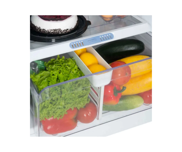 Nevera Challenger Convencional 256Lts/CR256