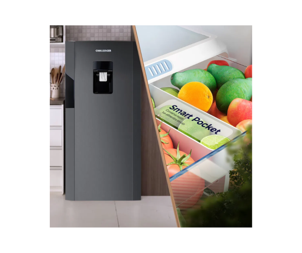 Nevera Challenger Convencional 256Lts/CR256