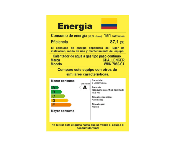 Calentador Challenger 6 Lts Tiro Natural GN/WHG 7060