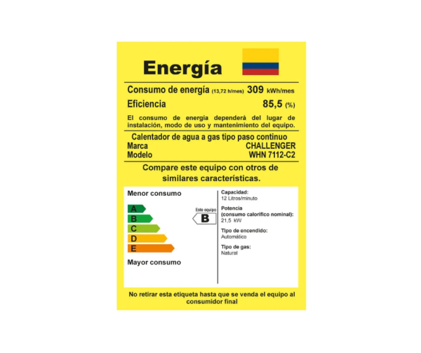 Calentador Challenger 12Lts Tiro Natural/WHN7112