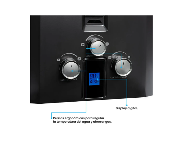 Calentador Challenger 6Lts Tiro Forzado/WHG 7062