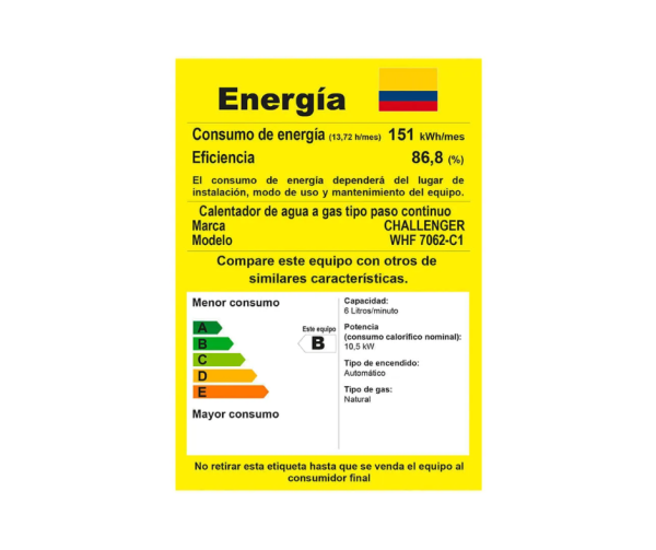 Calentador Challenger 6Lts Tiro Forzado/WHG 7062