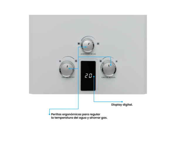Calentador Challenger 12Lts Tiro Natural/WHN7112