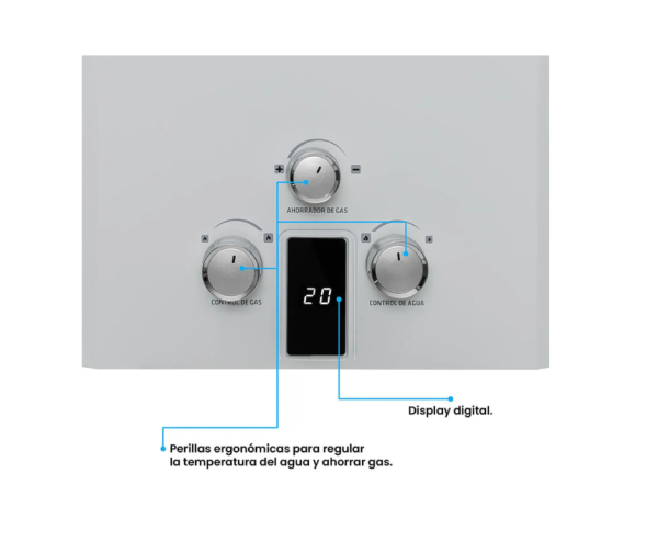 Calentador Challenger 10Lts Tiro Natural/WHN7102